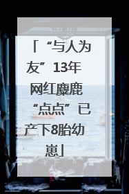 “与人为友”13年 网红麋鹿“点点”已产下8胎幼崽